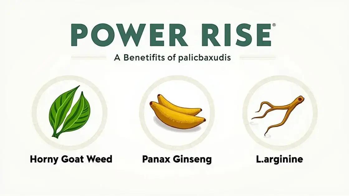 Understanding POWER RISE and Its Ingredients