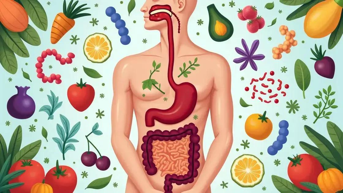 Understanding Probiotics and Men’s Digestive Health