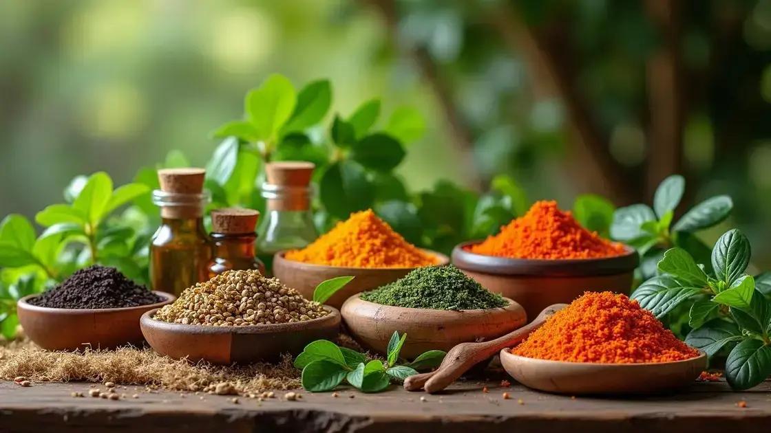 Understanding the African Recipe