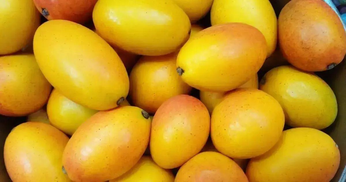 Understanding the Mango Trick