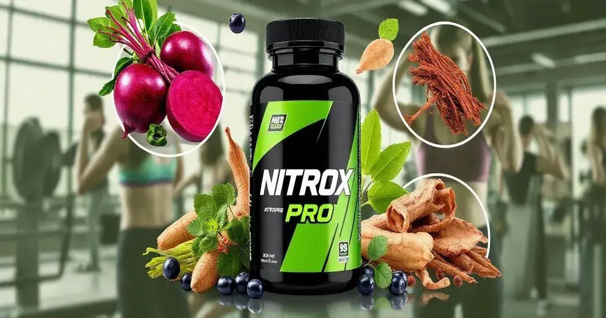 What is Nitrox Pro?