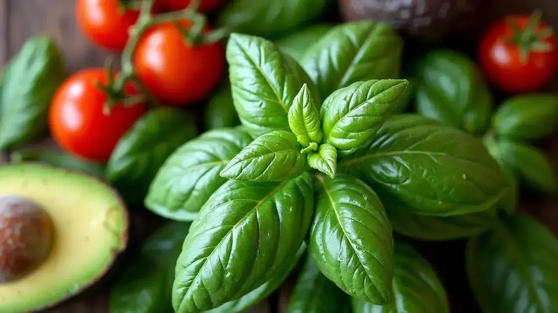 Why Basil is a Game-Changer