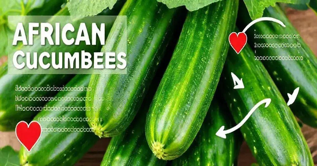 Benefits of African Cucumber for Sexual Health