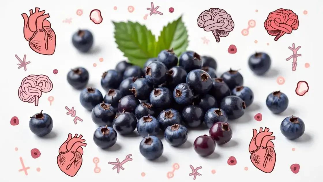 Benefits of Elderberries for Hormonal Balance