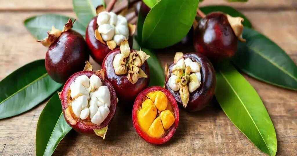 Can Mangosteen Boost Libido and Sexual Stamina Naturally?