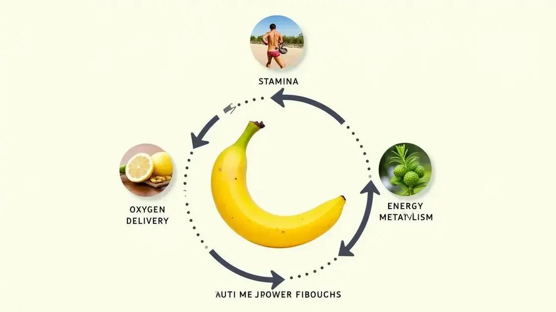 Exploring the Science Behind Stamina