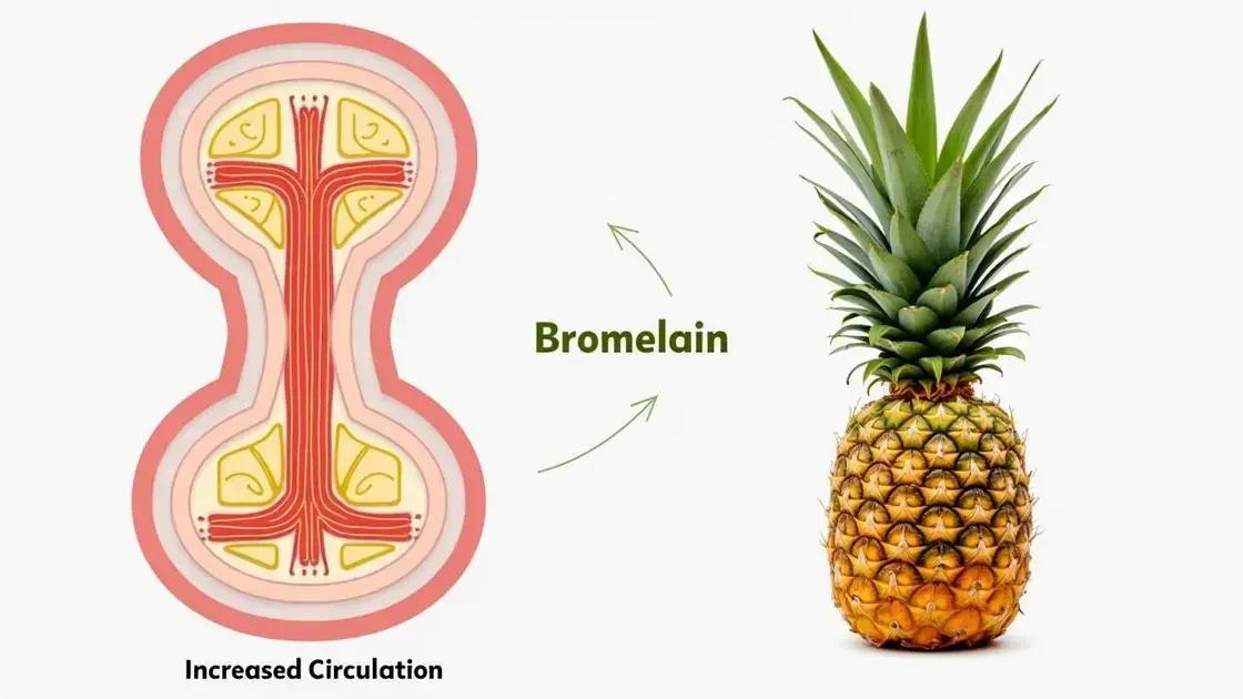 How Bromelain Affects Erectile Function