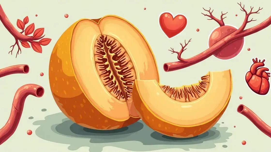 How Cantaloupe Improves Blood Circulation