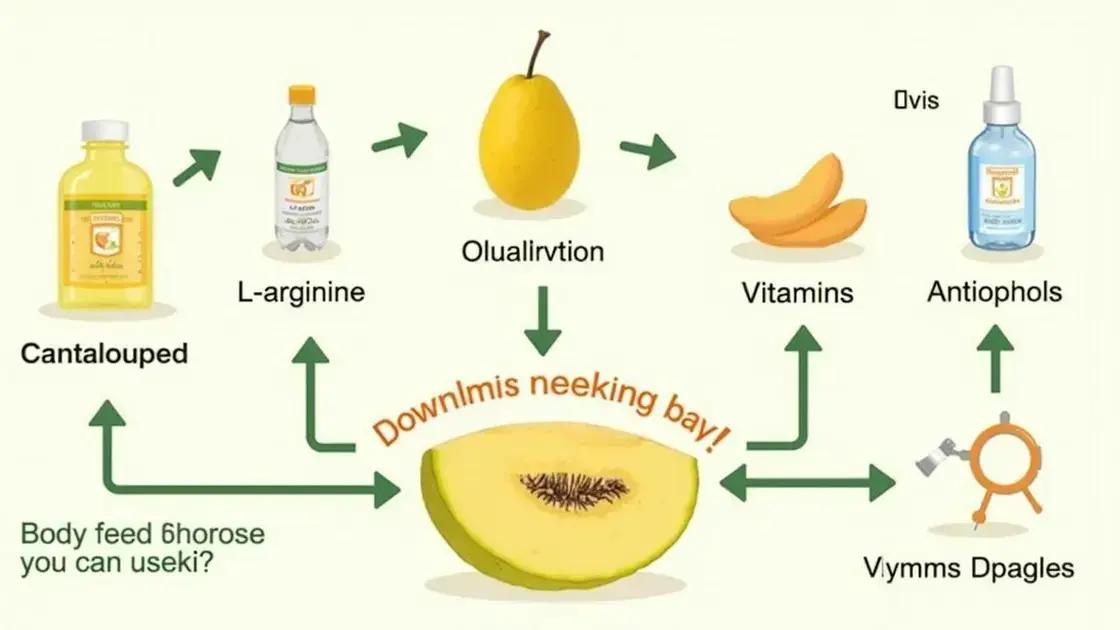 How Cantaloupe Increases Nitric Oxide Levels