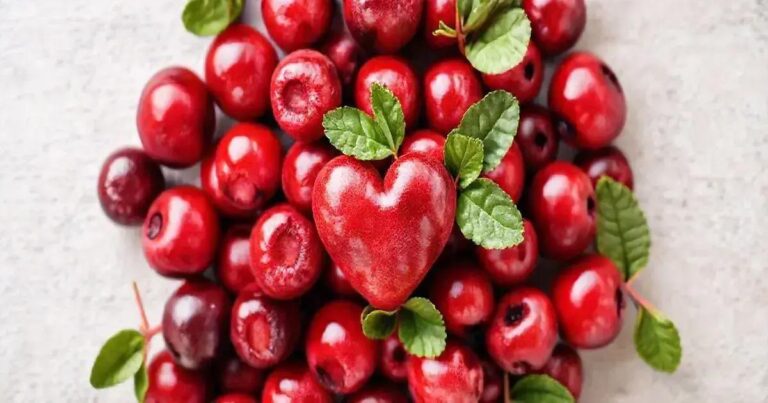 How Cranberries Enhance Heart Health for Erectile Function
