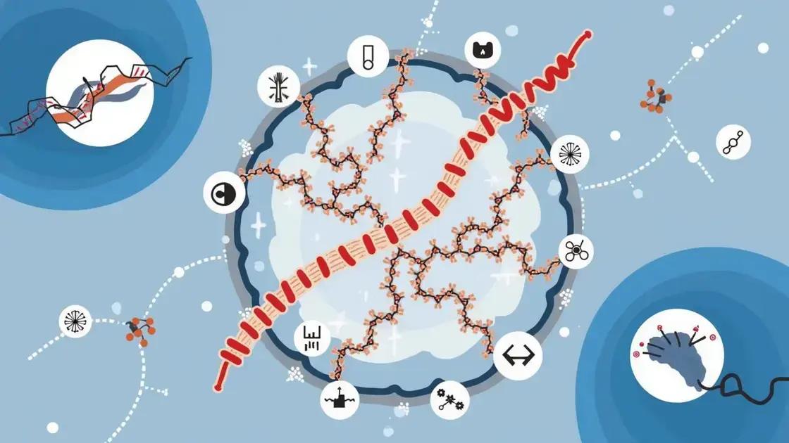 How Genes Influence Sexual Health