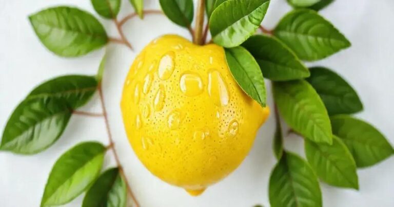 How Lemons Reduce Stress and Support Heart Health for ED