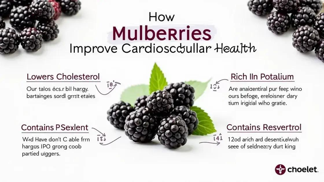 How Mulberries Improve Cardiovascular Health