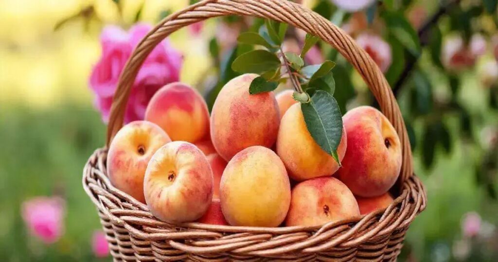 How Peaches Support Hormonal Balance for Better Erections