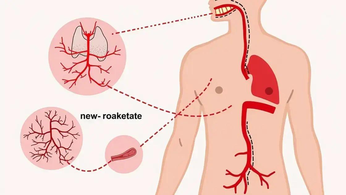How Pomegranate Enhances Blood Flow