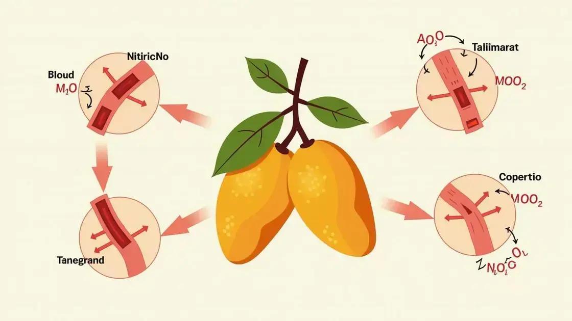 How Tamarind Affects Nitric Oxide Levels