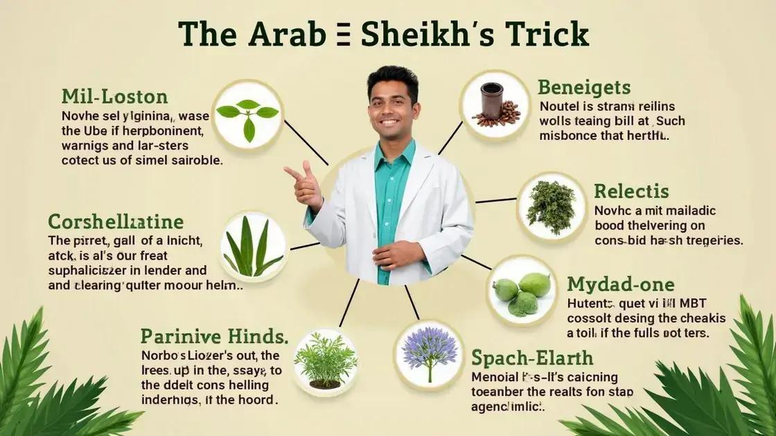 Interactions with the Arab Sheikh