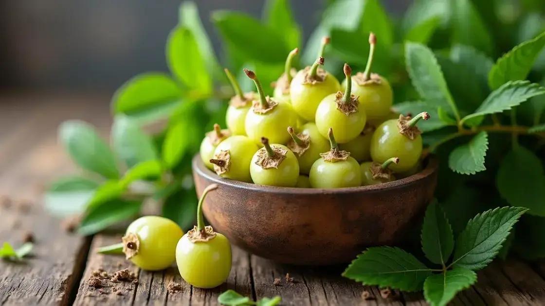 Introduction to Gooseberries and Testosterone