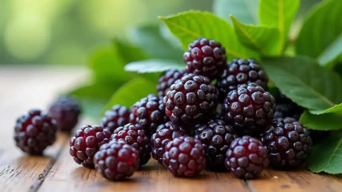 Introduction to Mulberries and Hormonal Balance