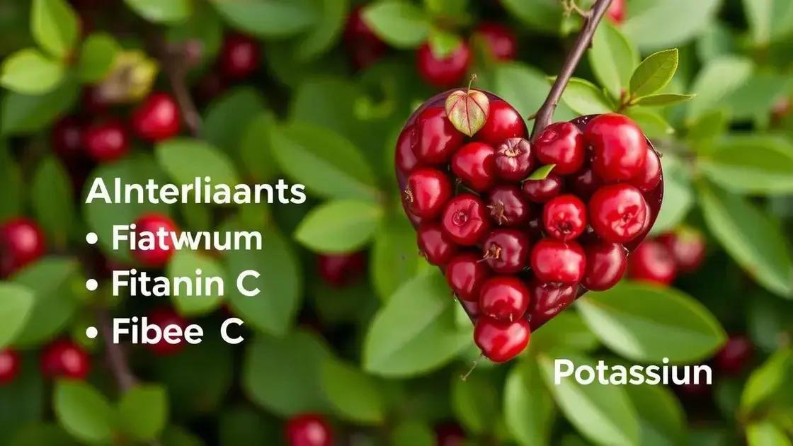 Nutrients in Cranberries that Promote Heart Wellness