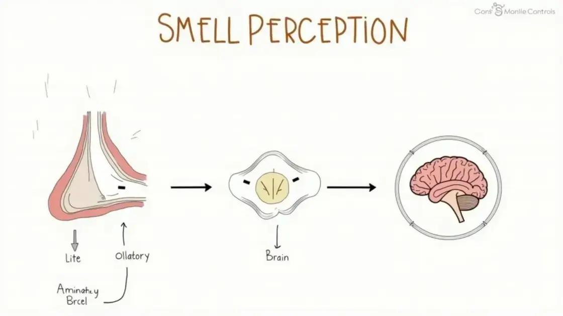 Scientific Insights into Smell Perception
