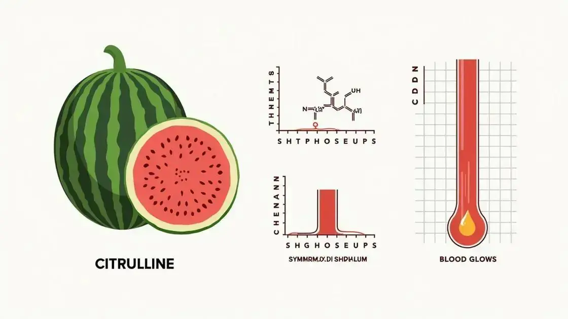 Scientific Studies on Watermelon and ED
