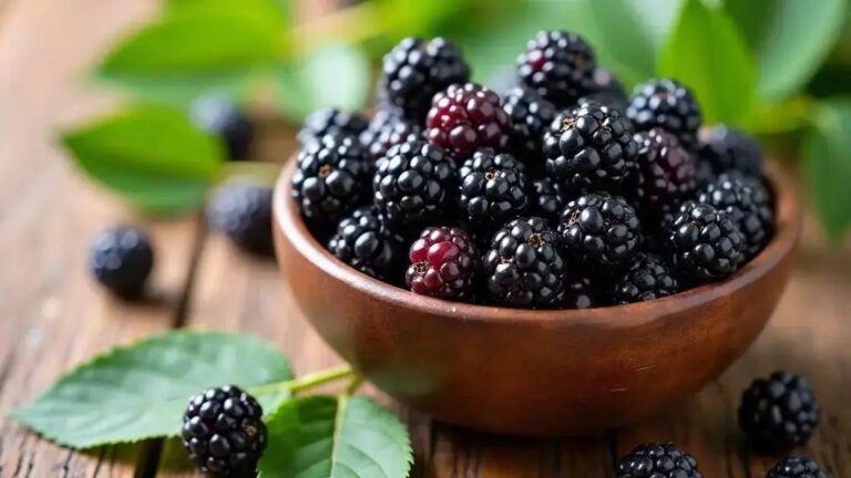 The Connection Between Mulberries and Improved Cardiovascular Health