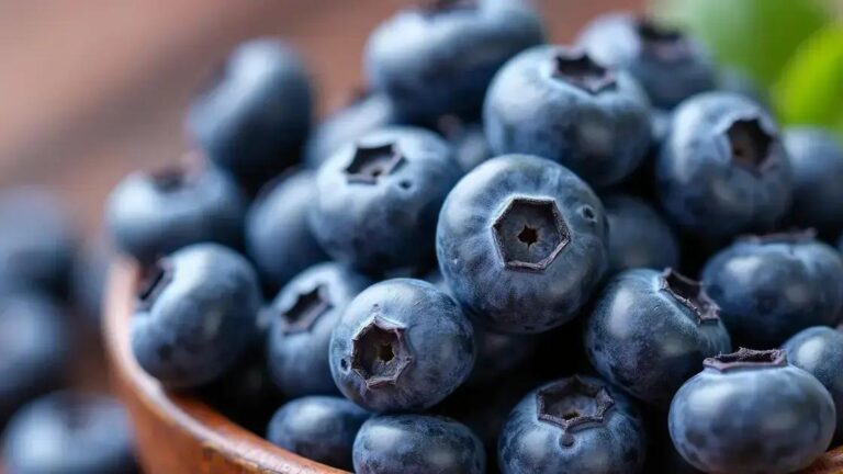 The Link Between Blueberries and Healthy Blood Vessel Function