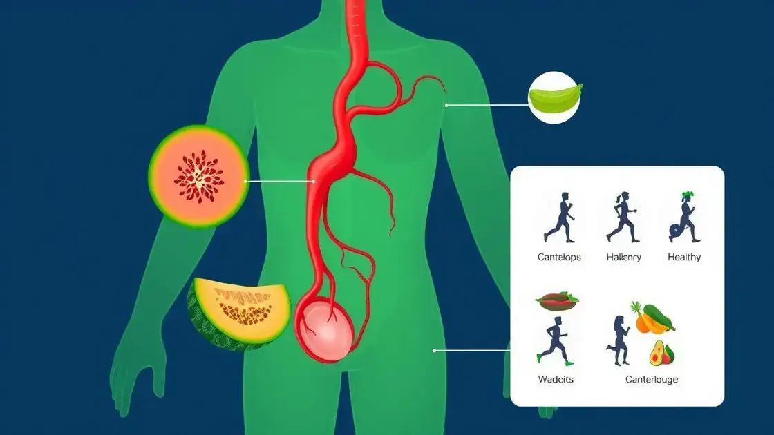 The Role of Blood Circulation