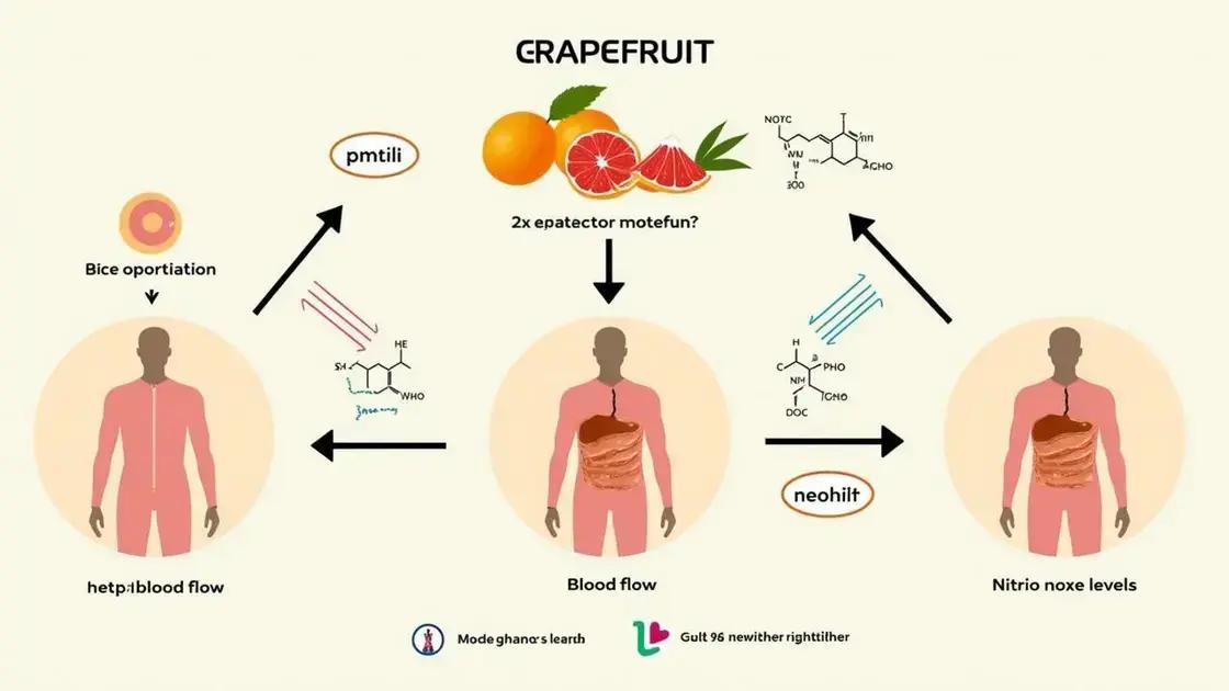 The Science Behind Grapefruit Consumption