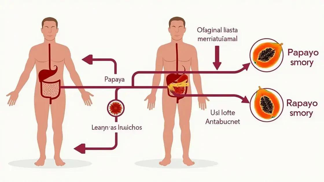 The Science Behind Improved Blood Flow