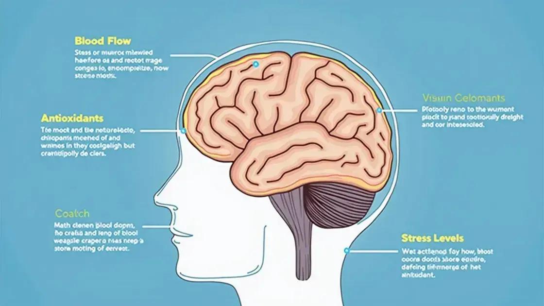 The Science Behind Mental Clarity