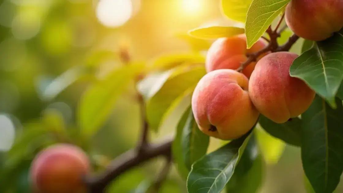 The Science Behind Nectarines and Stress Relief