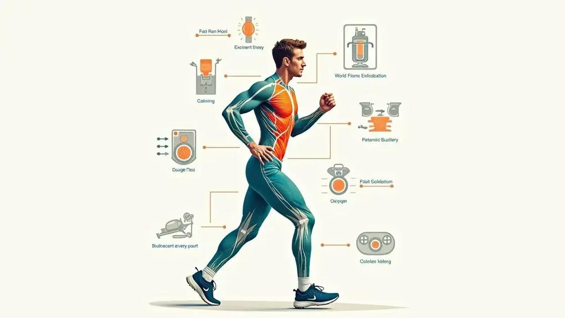 The Science Behind Physical Endurance