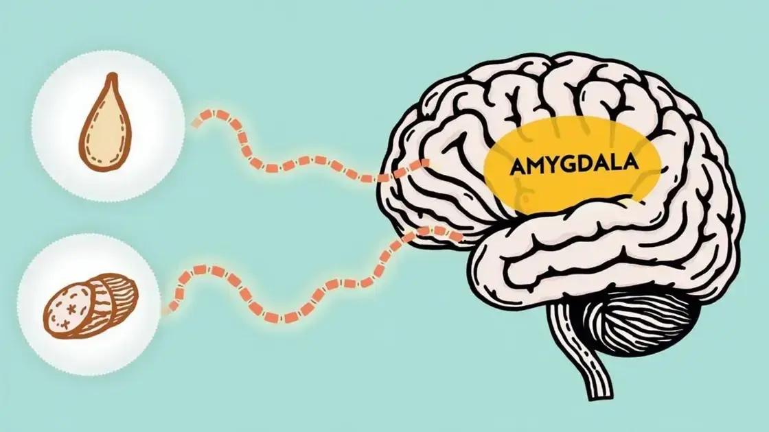The Science Behind Smell Memory
