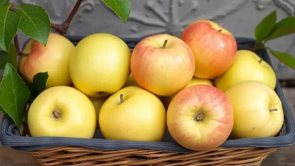 Tips for Choosing Fresh Water Apples