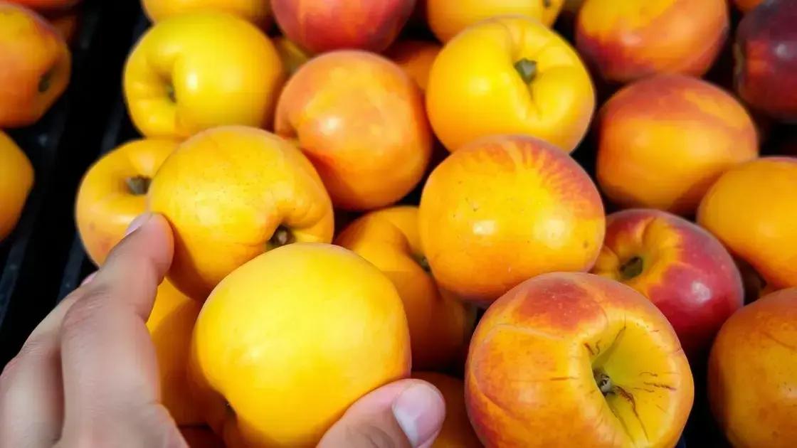 Tips for Choosing the Best Nectarines