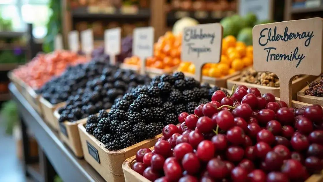 Tips for Finding Quality Elderberries