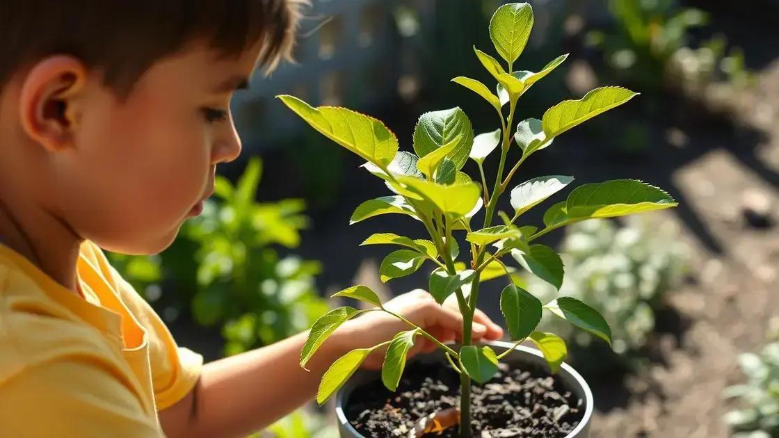 Tips for Growing Your Own Avocado Trees