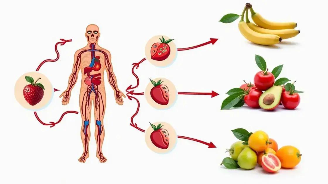 Understanding Blood Circulation