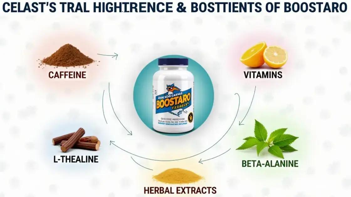 Understanding Boostaro and its Ingredients