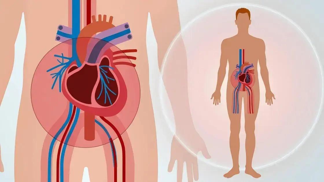 Understanding Circulation and Its Importance