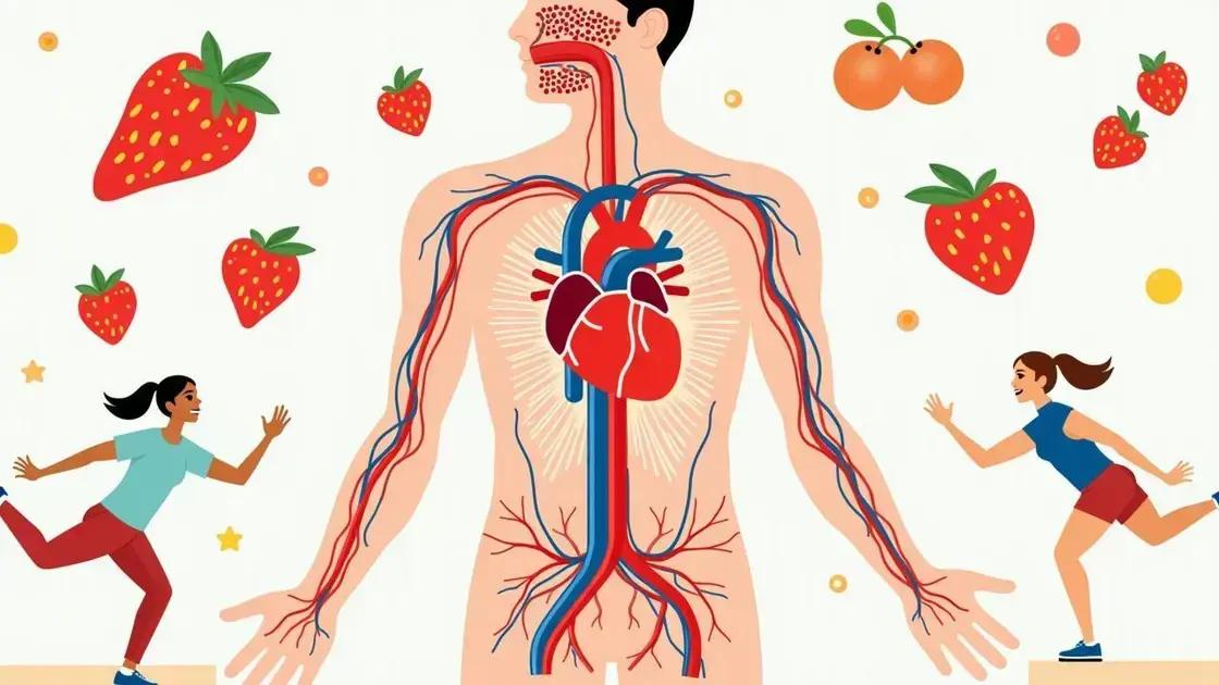 Understanding Circulation and Stamina
