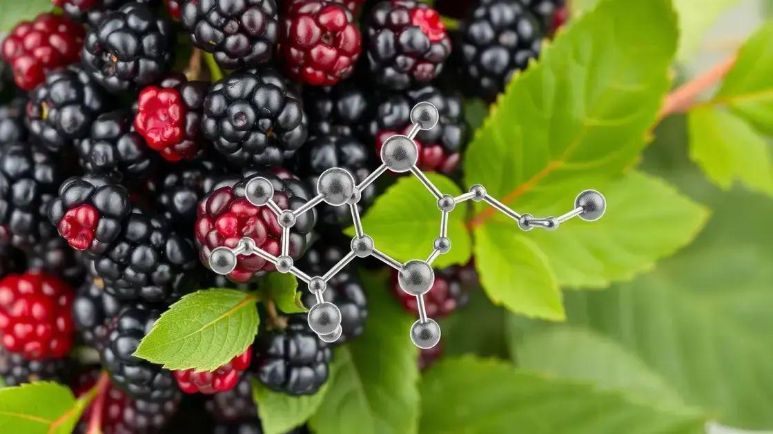 Understanding Resveratrol and Mulberries