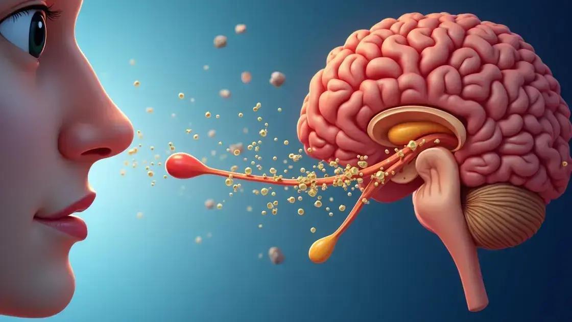 Understanding the Science of Smell