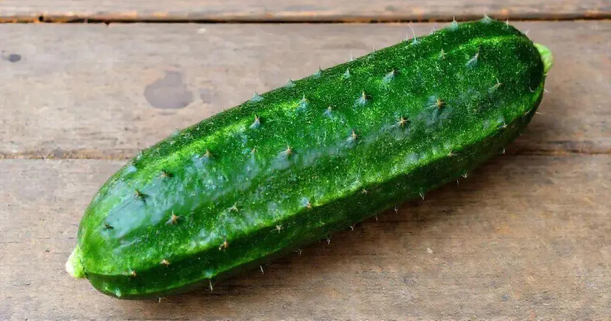 What is African Cucumber?