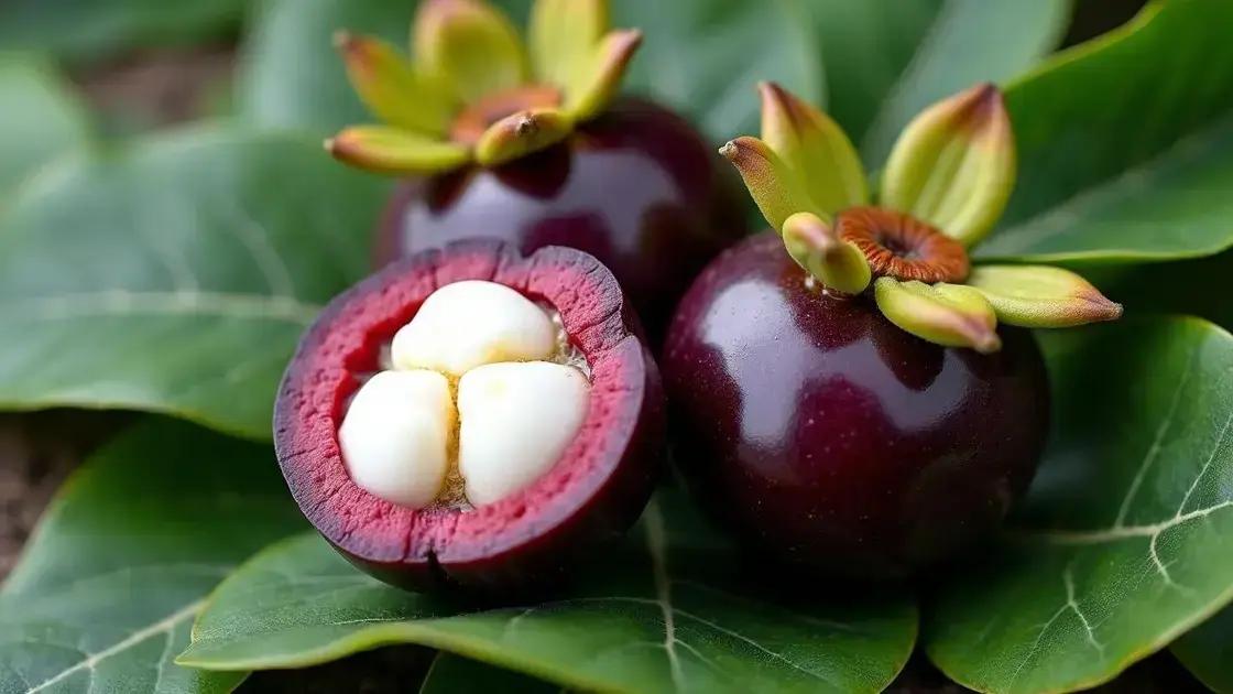 What is Mangosteen?