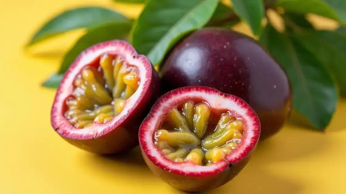 What is Passion Fruit?