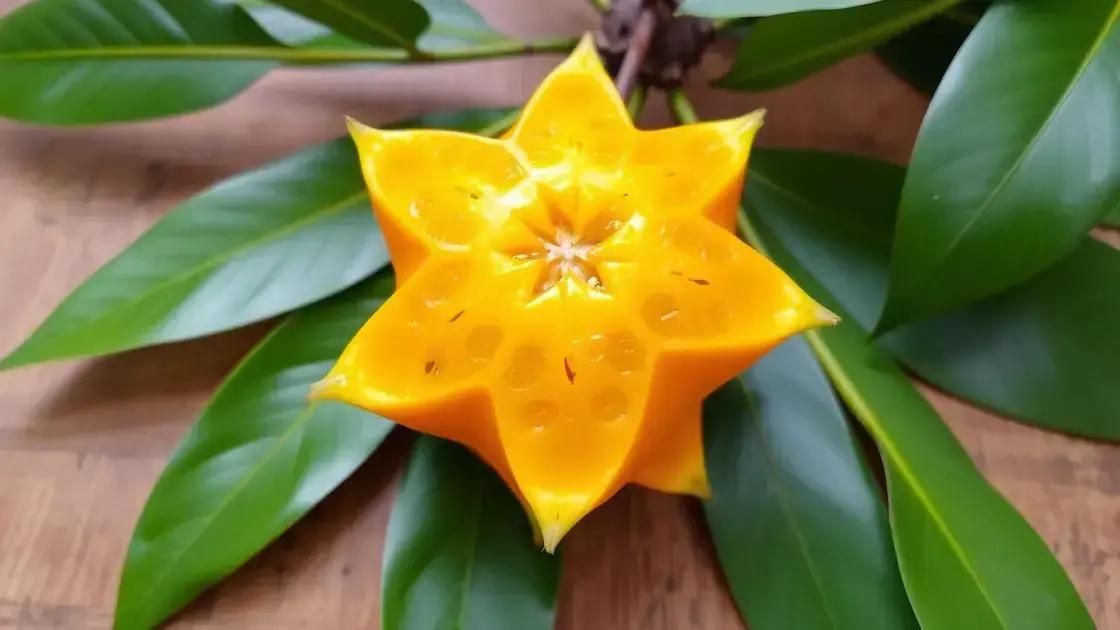 What is Starfruit?