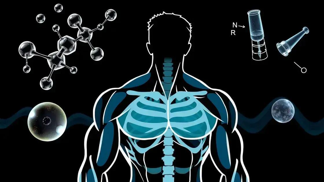 What is Testosterone and its Importance?